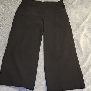 Express Editor Wide Leg Crop